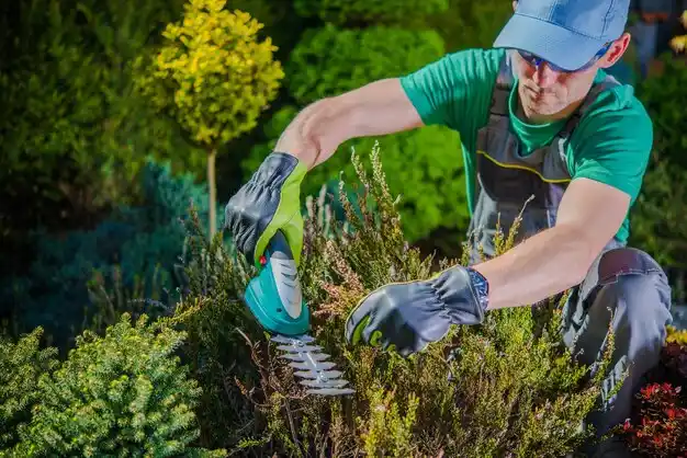 landscaping services Diamond